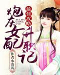 最佳攻略：炮灰女配升職記